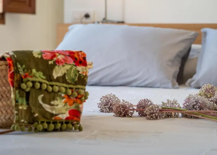 Ca Na Francesca Hébergement de vacances Pollença